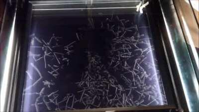 This is what Alpha radiation looks like in a cloud chamber