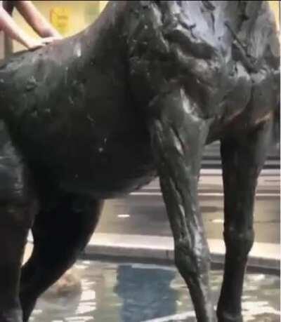 Instant karma for climbing on a statue