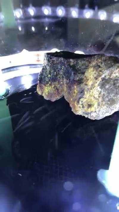 Recently finished building this cloud chamber, which allows you to see radioactive decay with your own eyes