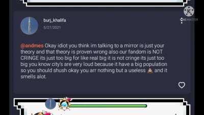 the sequel to that dumb argument: wildly's run mod edition