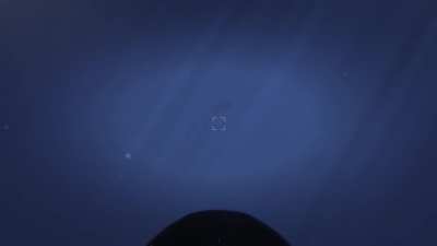 Gta 5 whale skeleton