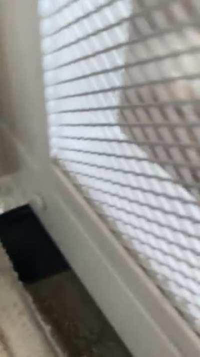 Something’s moving...