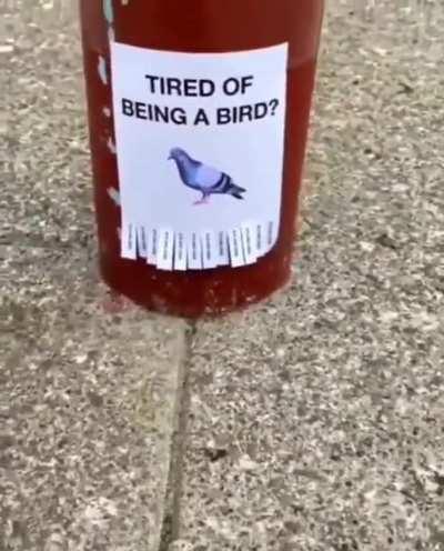 I call this a 'False Flag'.