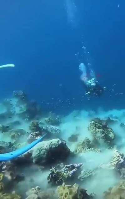 Divers experience underwater earth quake 