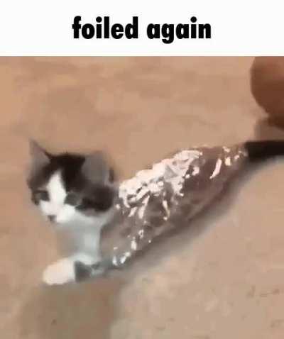 Why the mods keep crashing?