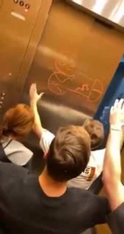 Blursed elevator door