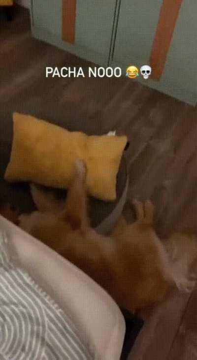 I think that happened to everyone