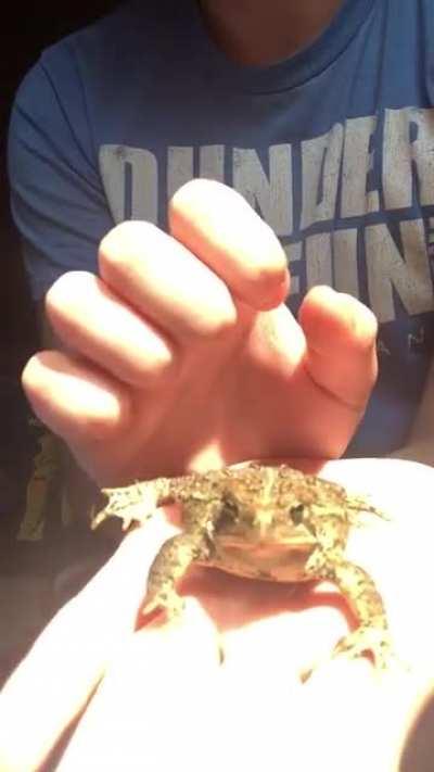 It’s all Albert? Always has been.