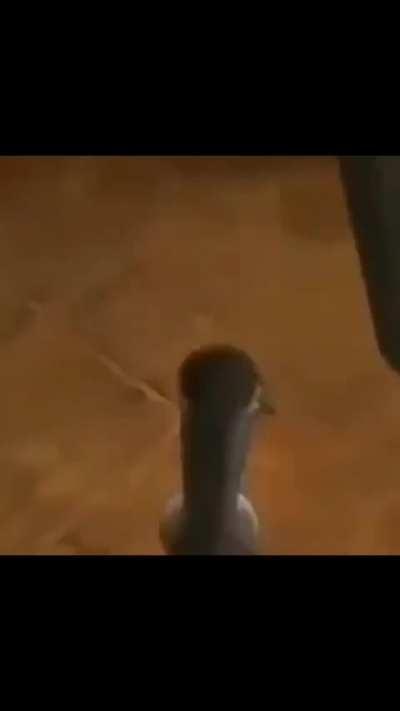 I love this Dios song