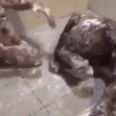 Olha que fofinha 😳😍