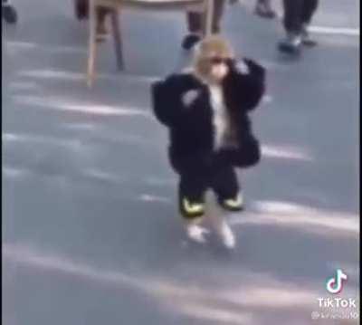 Walking in paradise after grabbing the rope of light