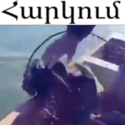 rule