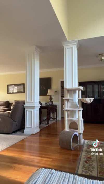 Squidward got caught