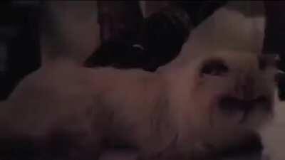 No electricity ? no problem