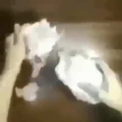 car fugging DIES😱