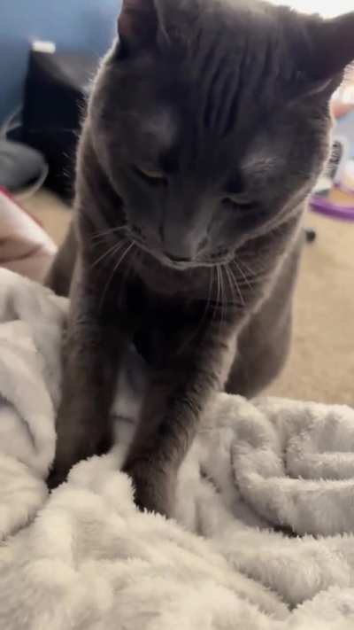 Thick blankets help with the long claws:)