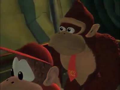 [Donkey Kong Country]