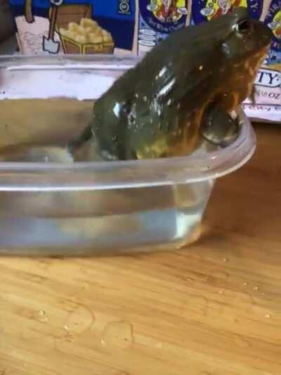 Hulk said “Bath time is over!!!”