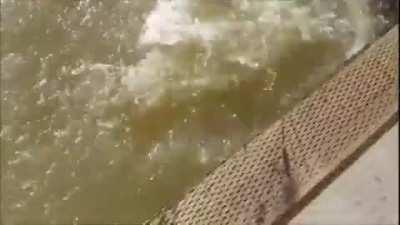 Girl Sits Too Close To The Water