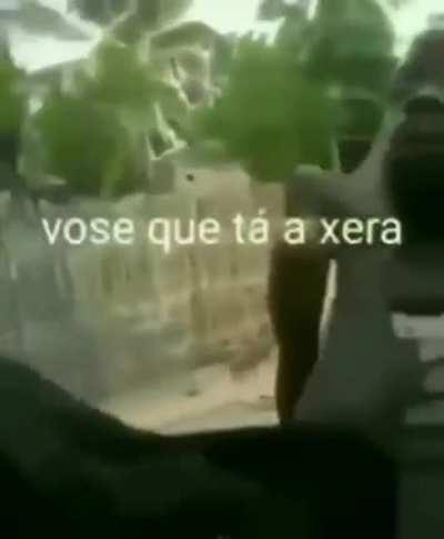 Batalha de rap angolana