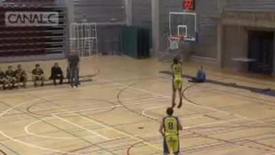 Teammates on Basketfall be like...