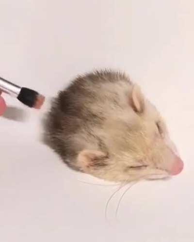 [unintentional] this one gets it