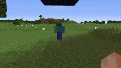 AYO WTF . Ultra cursed Minecraft.