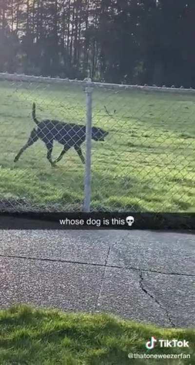 my dude is also having a rough morning