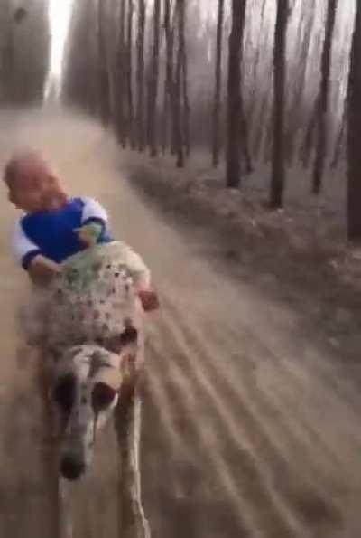 NO! WHA- ? Oh... ok.. cool.