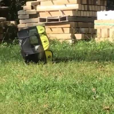 This ain't stopping me.