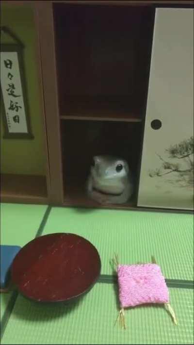 He looks very polite