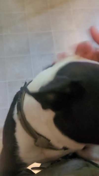 Round 2 ladies and gents