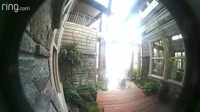 Fine way to start the day! [OC]