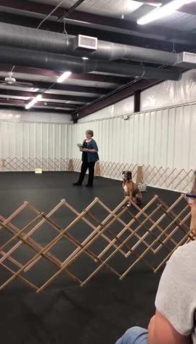 Someone flipped the switch