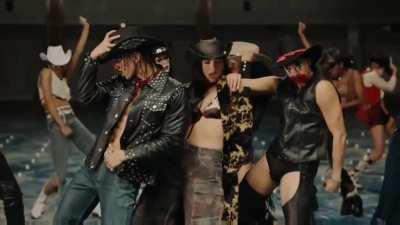 For my fellow Dua Lipa fans