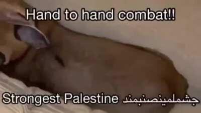 Big floppa official lore halal