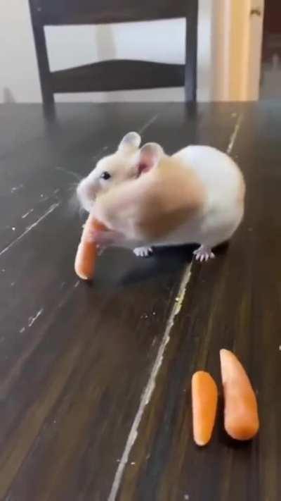 Cheeks never met a carrot he could say no to