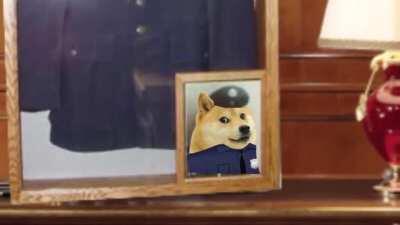 Doge sets things in to motion