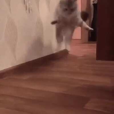 😹😹😹 Self- inflicted attack!