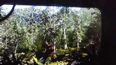 Tyrannosaurus is thought to have been an ambush predator, sneaking as close as possible to its prey before quickly attacking. But even the most efficient predators aren’t always successful.