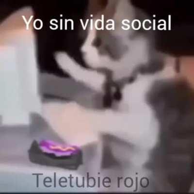 Youtuber con escuela