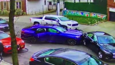 So many idiots in one car