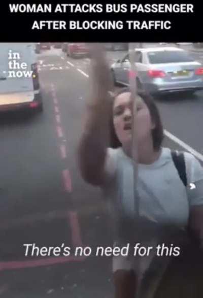 A wild Karen appears!