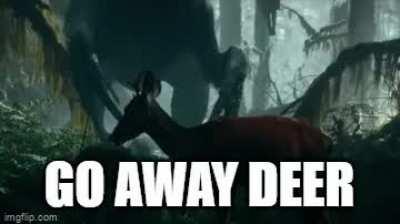 Go away deer