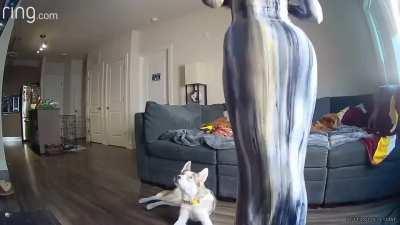 Dm for meet contents or FaceTime