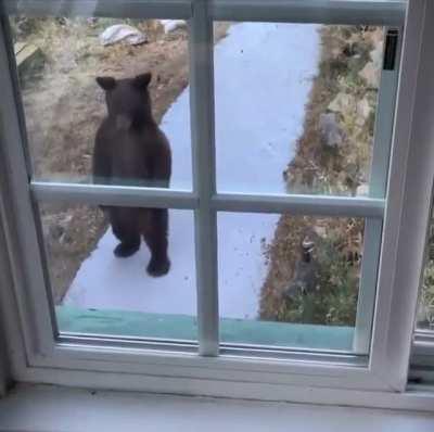 Thought I had a late trick or treater for a minute