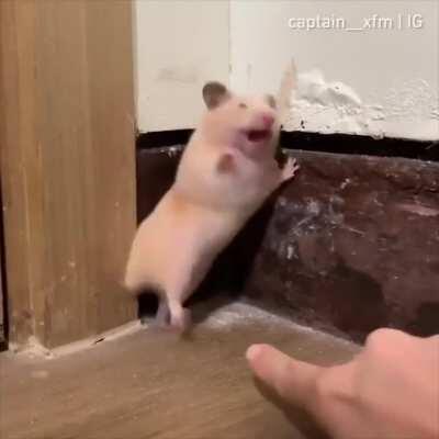 Ааааа! Кто здесь?!