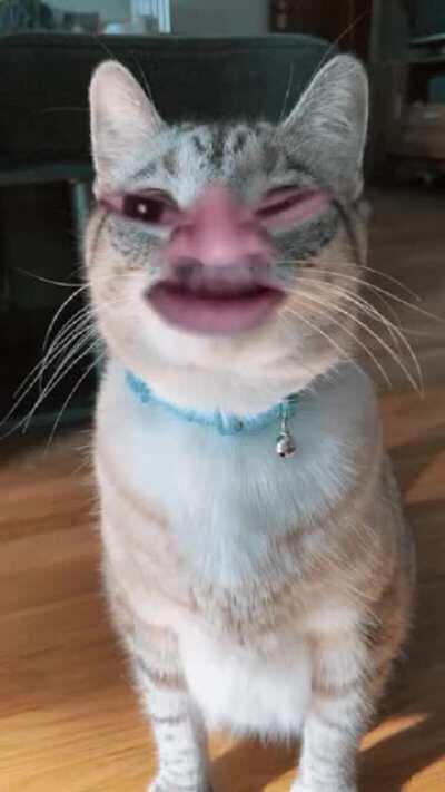 🚫Arabs don't go to heaven Mohammad said🚫