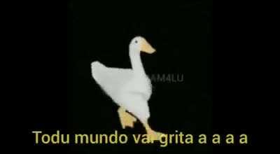 Uzonibu vai derrapa a a a a