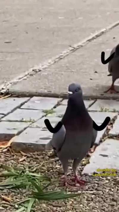 Gov ain’t even trying to Hide it.